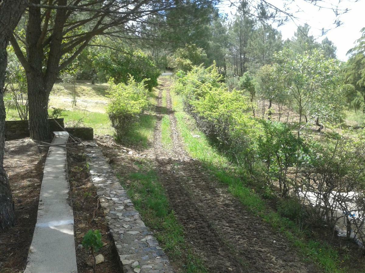 Quinta Das Lameirinhas Marvao  Exterior photo