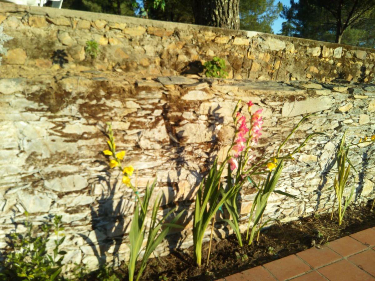 Quinta Das Lameirinhas Marvao  Exterior photo